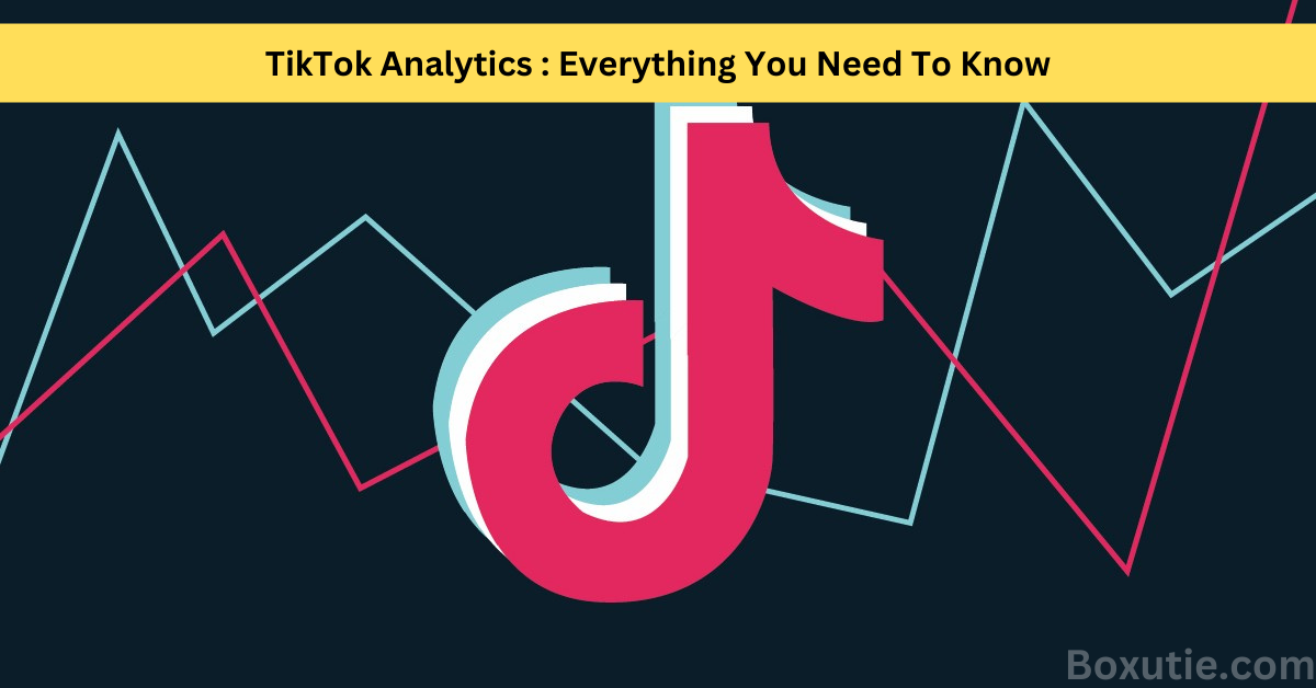 TikTok Analytics :